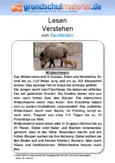 Wildschwein - Sachtext.pdf